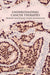 Understanding Cancer Therapies by Prakash Timiri Shanmugam