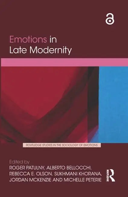 Emotions in Late Modernity by Roger Patulny
