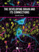 The Developing Brain and its Connections by Bianchi/Lynne M.