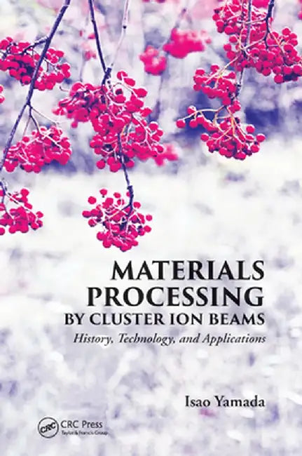 Materials Processing by Cluster Ion Beams: History, Technology, and Applications by Isao Yamada