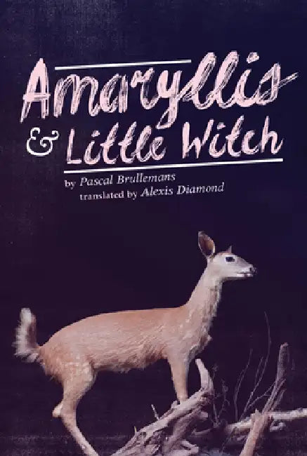 Amaryllis & Little Witch by Pascal Brullemans, Alexis Diamond