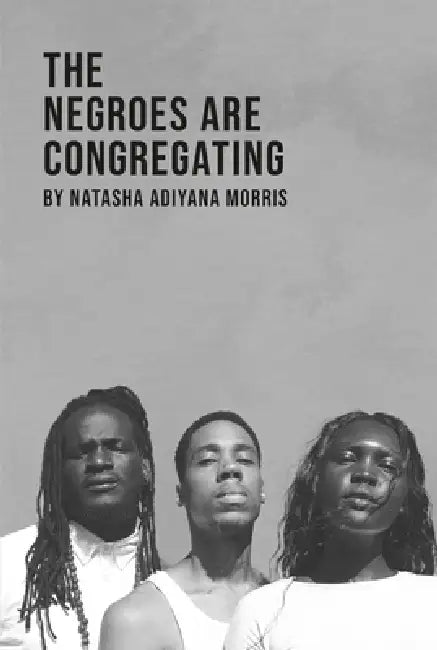 The Negroes Are Congregating by Natasha Adiyana Morris