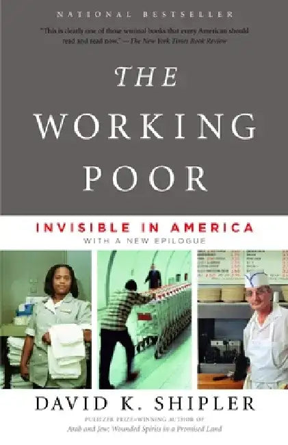 The Working Poor: Invisible in America by David K. Shipler