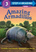 Amazing Armadillos by Jennifer McKerley