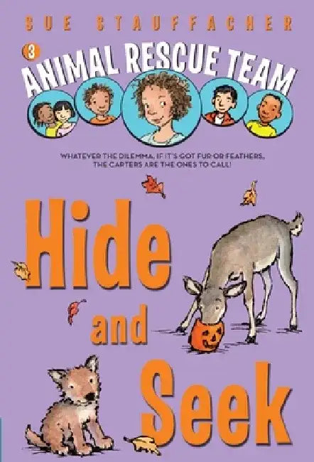 Hide and Seek by Sue Stauffacher