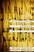 Translated Accounts by James Kelman