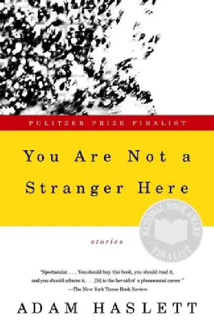 You Are Not a Stranger Here by Adam Haslett