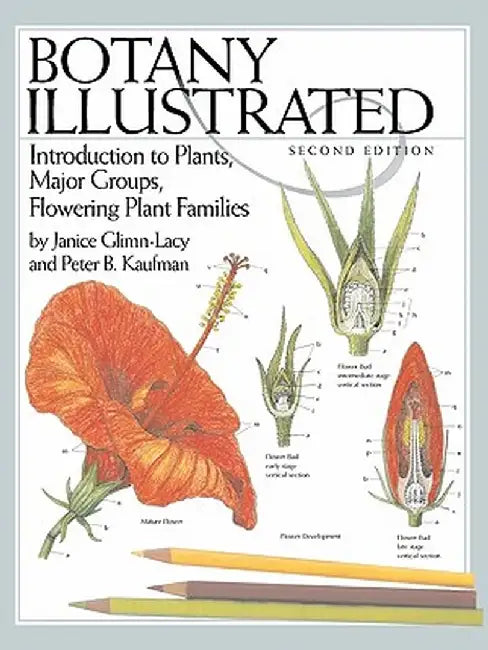 Botany Illustrated: Introduction to Plants, Major Groups, Flowering Plant Families by Janice Glimn-Lacy