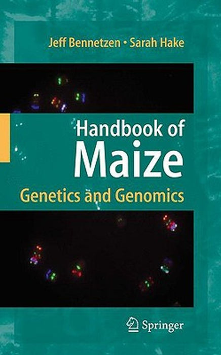Handbook Of Maize: Genetics and Genomics by Jeff L. Bennetzen, Sarah Hake