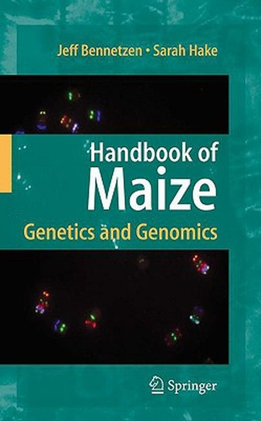 Handbook Of Maize: Genetics and Genomics by Jeff L. Bennetzen, Sarah Hake