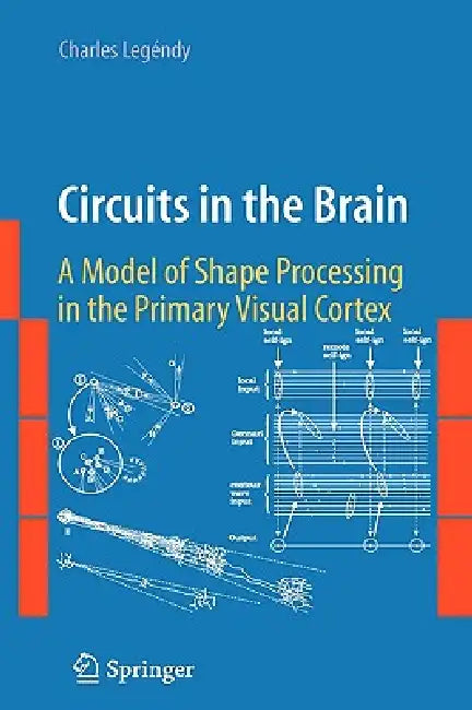 Circuits in the Brain: A Model of Shape Processing in the Primary Visual Cortex by Charles Legéndy