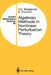 Algebraic Methods in Nonlinear Perturbation Theory by V. N. Bogaevski