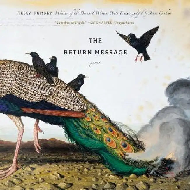 Return Message: Poems by Tessa Rumsey