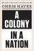 A Colony in a Nation by Chris Hayes