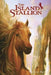 The Island Stallion by Walter Farley