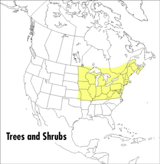 A Field Guide to Trees and Shrubs: Northeastern and North-Central United States and Southeastern and South-Central Canada by George A. Petrides