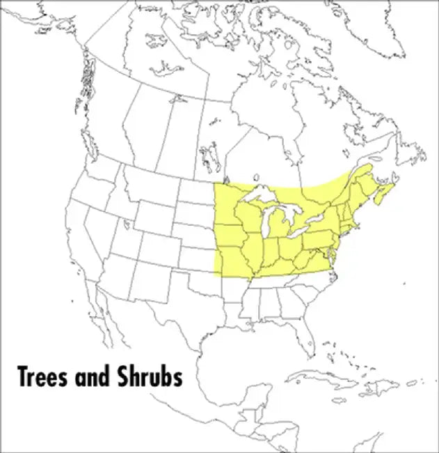 A Field Guide to Trees and Shrubs: Northeastern and North-Central United States and Southeastern and South-Central Canada by George A. Petrides
