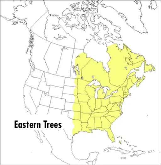 A Field Guide to Eastern Trees: Eastern United States and Canada, Including the Midwest by Roger Tory Peterson