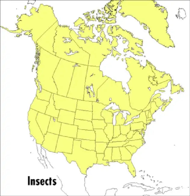 A Peterson Field Guide to Insects: America North of Mexico by Donald J. Borror