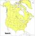 A Peterson Field Guide to Insects: America North of Mexico by Donald J. Borror