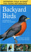 Backyard Birds by Karen Stray Nolting