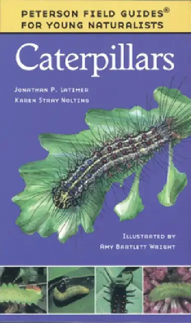 Caterpillars by Karen Stray Nolting