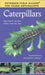 Caterpillars by Karen Stray Nolting