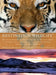 Destination Wildlife: An International Site-by-Site Guide to the Best Places to Experience Endangered, Rare, and Fascinating Animals and Their Habitat by Pamela K. Brodowsky