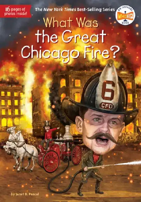 What Was the Great Chicago Fire? by Janet B. Pascal