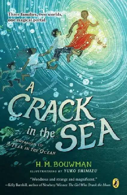 A Crack in the Sea by H. M. Bouwman