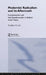 Modernist Radicalism and its Aftermath: Foundationalism and Anti-Foundationalism in Radical Social Theory by Stephen Crook