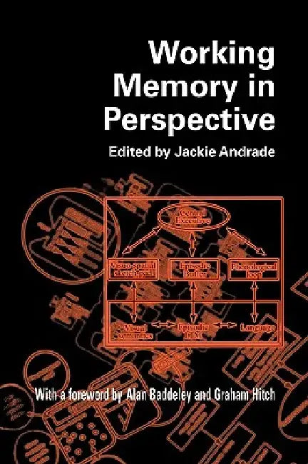 Working Memory in Perspective by Andrade Jackie