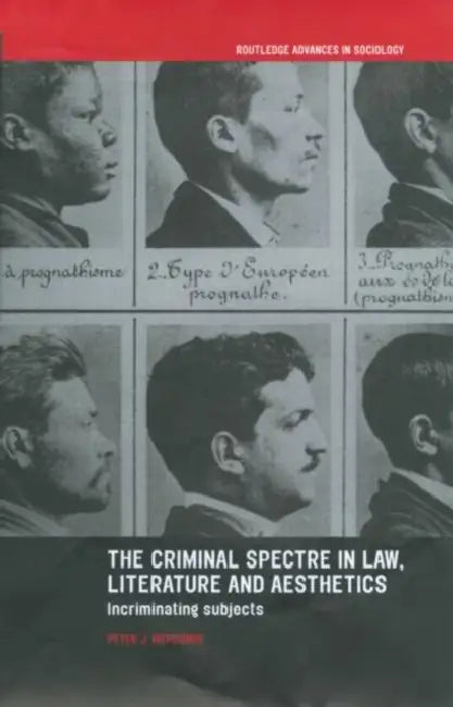 The Criminal Spectre in Law, Literature and Aesthetics: Incriminating Subjects by Peter J. Hutchings
