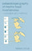 Palaeobiogeography of Marine Fossil Invertebrates: Concepts and Methods by Fabrizio Cecca