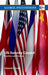 UN Security Council: Practice and Promise by Edward C. Luck