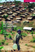 Protracted Refugee Situations: Domestic and International Security Implications by Loescher Gil