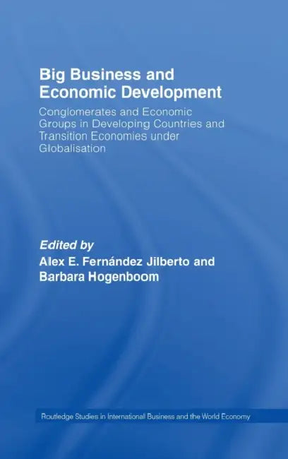 Big Business and Economic Development: Conglomerates and Economic Groups in Developing Countries and Transition Economies Under Globalisation by Barbara Hogenboom, Alex E. Fernández Jilberto