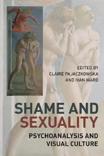 Shame and Sexuality: Psychoanalysis and Visual Culture by Claire Pajaczkowska