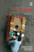 South Asian Economic Development by Moazzem Hossain, Rajat Kathuria, Iyanatul Islam