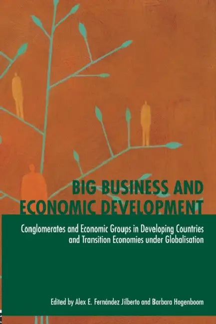 Big Business and Economic Development: Conglomerates and Economic Groups in Developing Countries and Transition Economies Under Globalisation by Barbara Hogenboom, Alex E. Fernández Jilberto