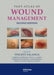 Text Atlas of Wound Management by Vincent Falanga