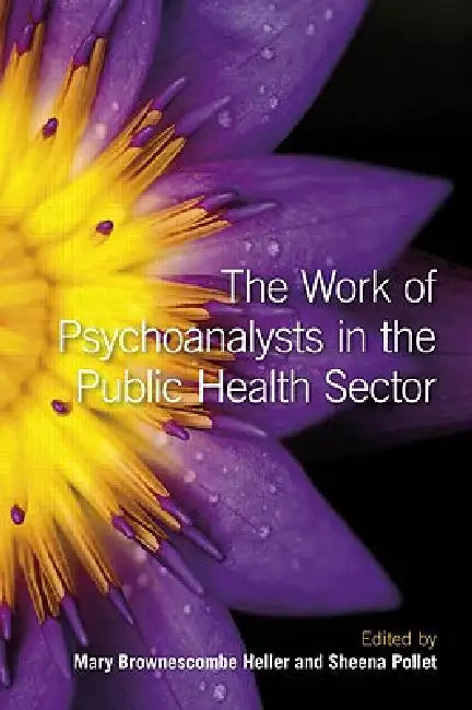 The Work of Psychoanalysts in the Public Health Sector by Heller Mary Brownescombe