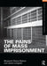 The Pains of Mass Imprisonment by Benjamin Fleury-Steiner