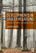 Developments in Object Relations: Controversies, Conflicts, and Common Ground by Lavinia Gomez