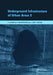 Underground Infrastructure Of Urban Areas 2 by Cezary Madryas, Beata Nienartowicz, Arkadiusz Szot