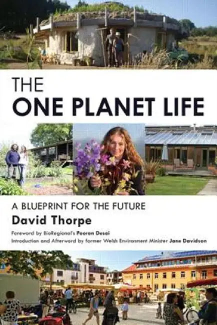 The 'One Planet' Life: A Blueprint for Low Impact Development by David Thorpe