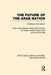 The Future of the Arab Nation (Rle: The Arab Nation): Challenges and Options by Khair Haseeb