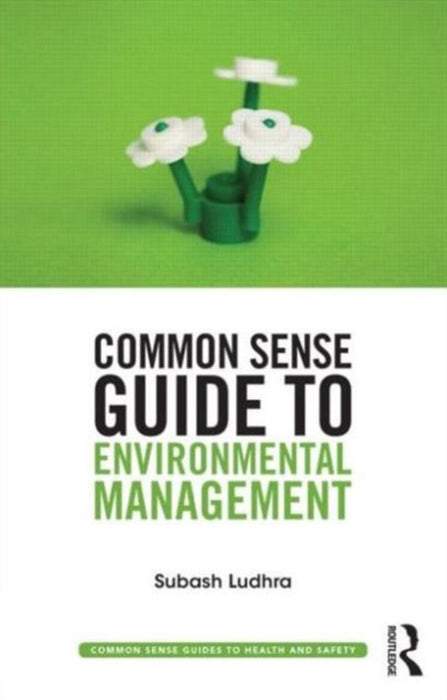 Common Sense Guide To Environmental Management by Subash Ludhra