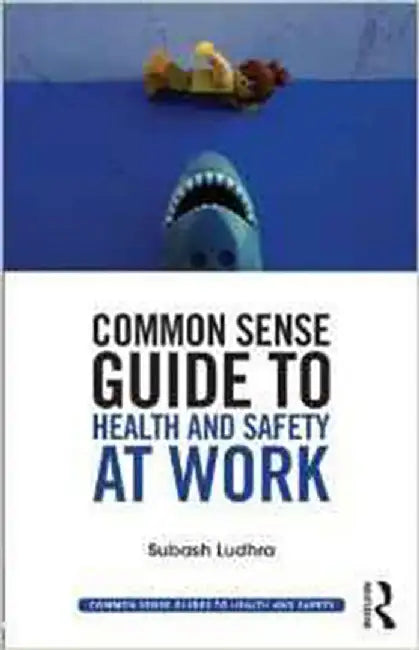 Common Sense Guide To Health & Safety At Work by Subash Ludhra