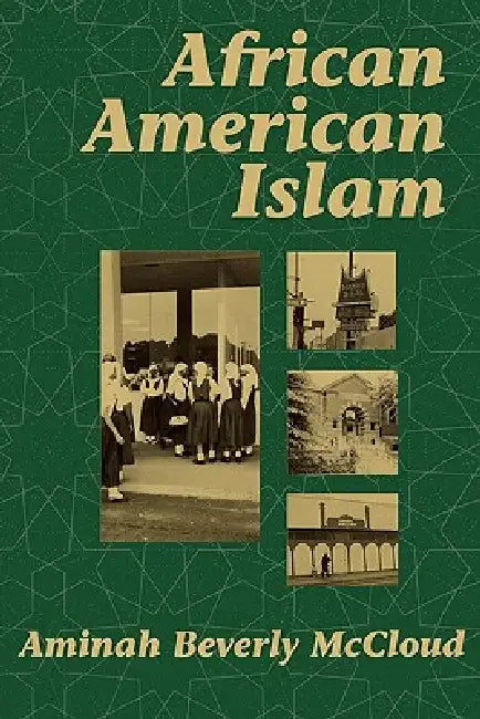 African American Islam by Aminah Beverly McCloud